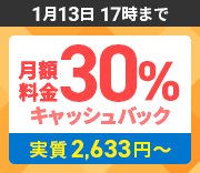 30%åХåڡ 113()17:00ޤ