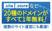 .store/.site ʤ20Υɥᥤ󤬤٤1ǯ̵